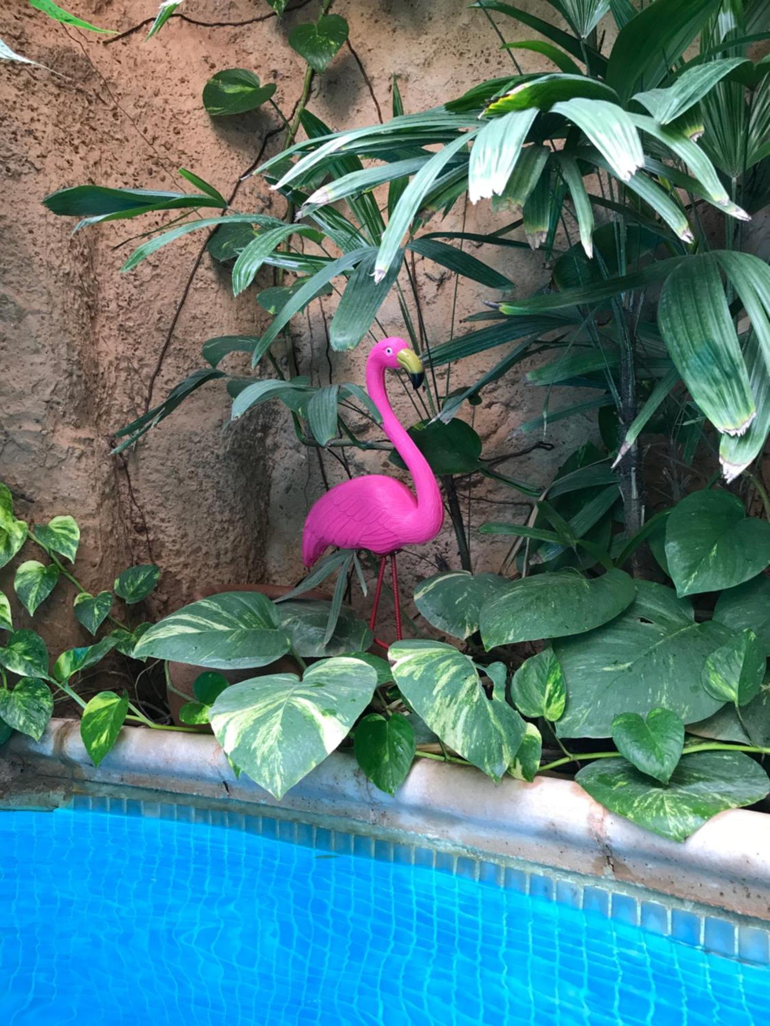 Tropical Oasis Daire Ouakam Dış mekan fotoğraf