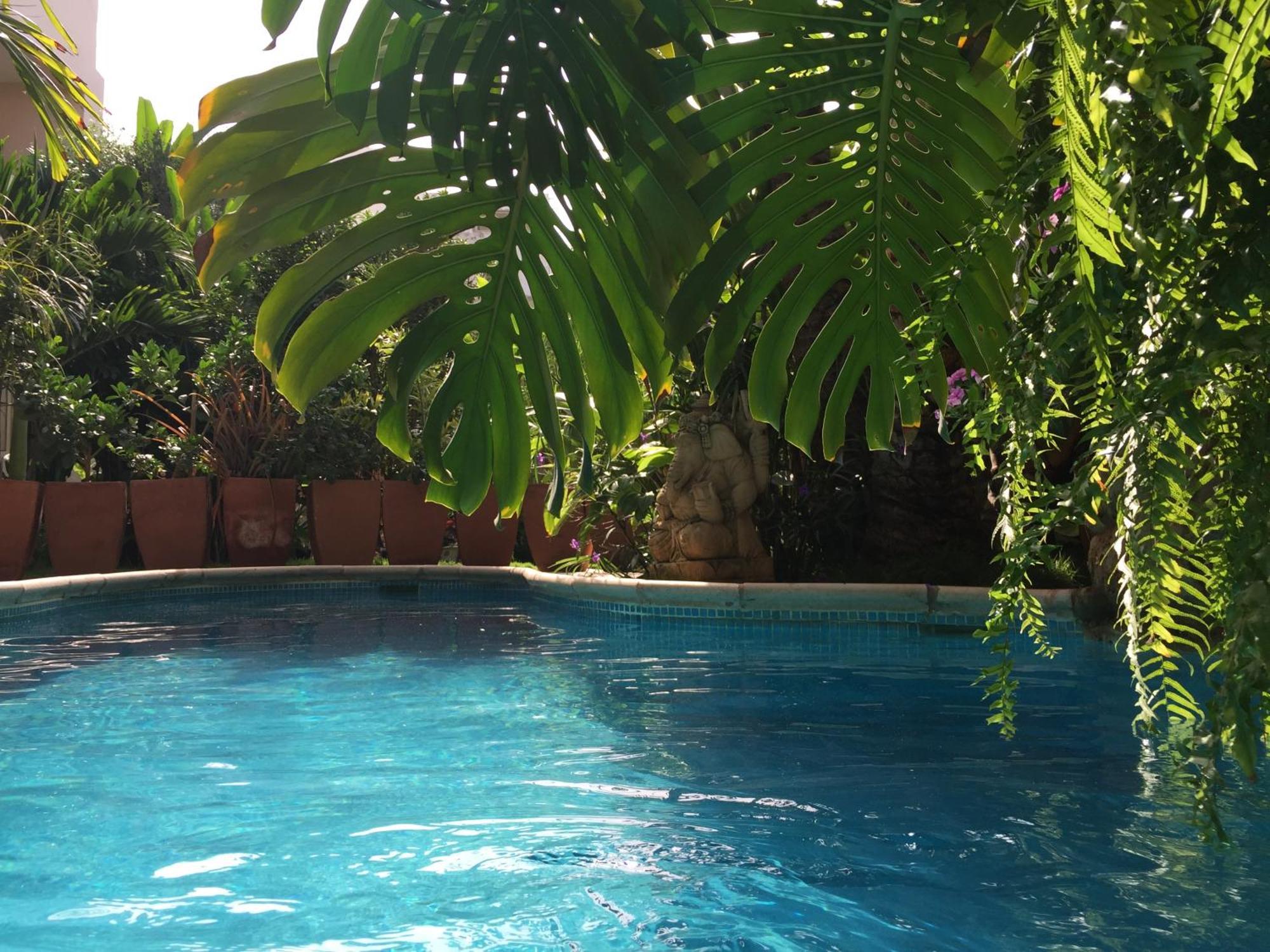 Tropical Oasis Daire Ouakam Dış mekan fotoğraf