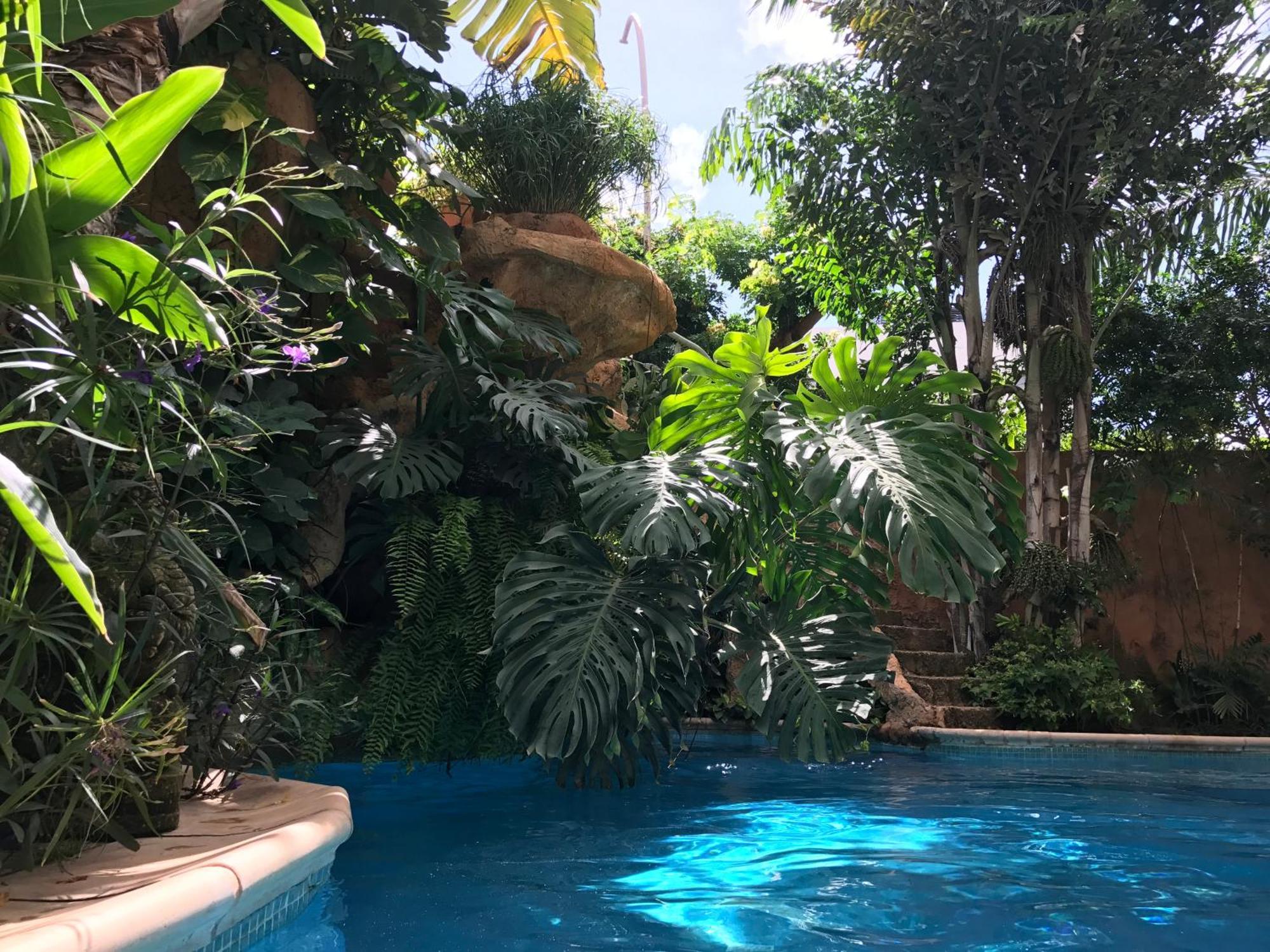 Tropical Oasis Daire Ouakam Dış mekan fotoğraf