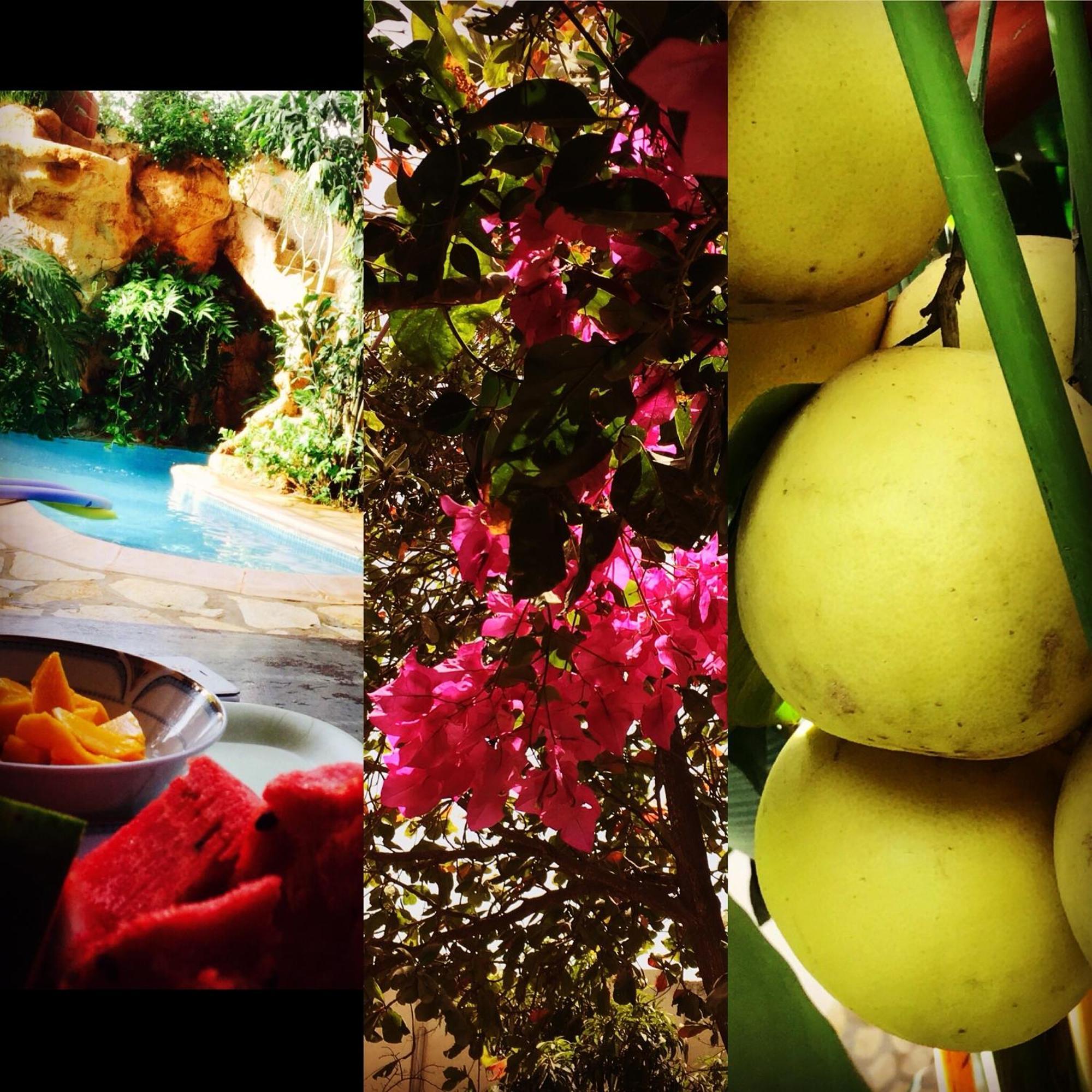 Tropical Oasis Daire Ouakam Dış mekan fotoğraf