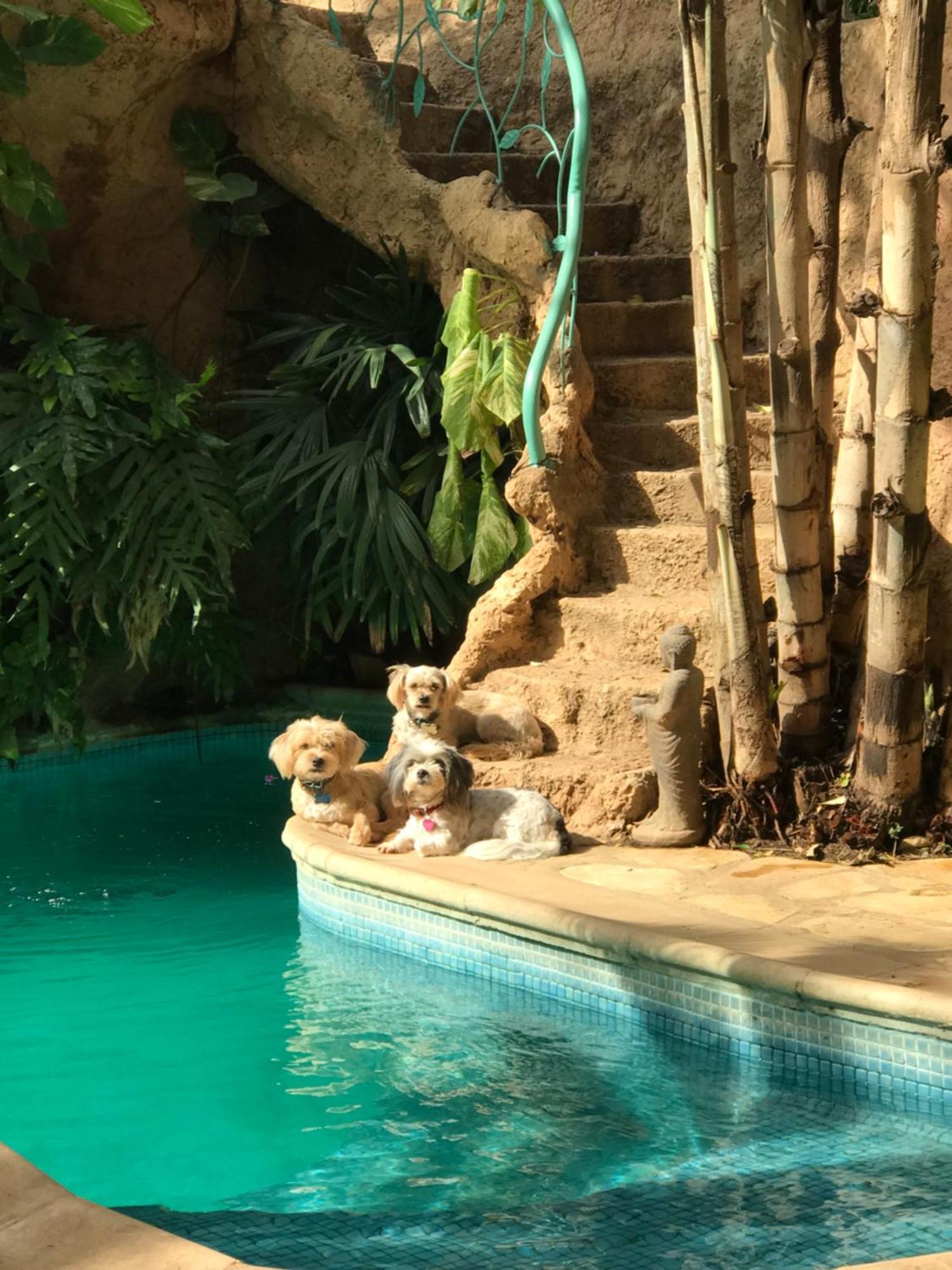 Tropical Oasis Daire Ouakam Dış mekan fotoğraf